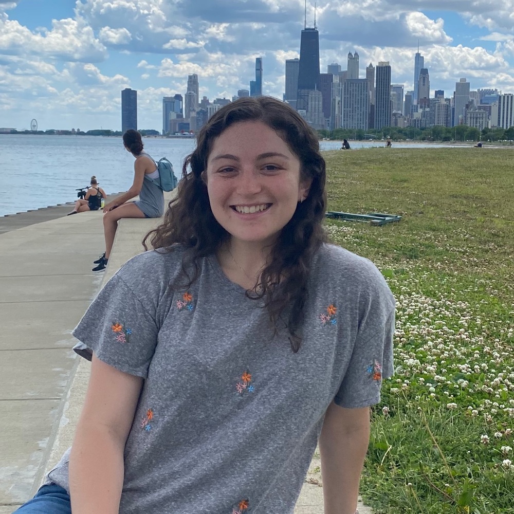 Meet your Posher, Zahava